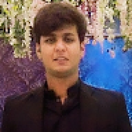 shahnoortalib