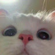 cuxtiie