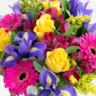 Mariam7123