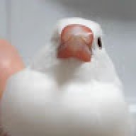 Im in danger