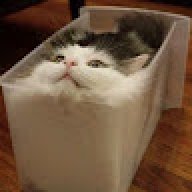 WitchingHourCat