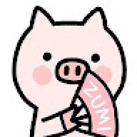 Norfu PI