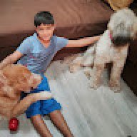shivaand1