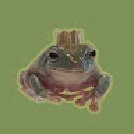 Bloopo