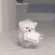kenilee