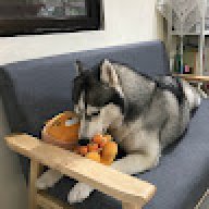 Luna021007