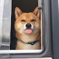 msgirllix