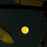 noneeeeeeeeeeeeeeeee