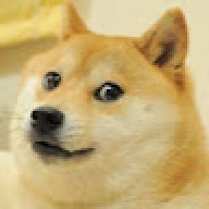 zsdfsadfbg