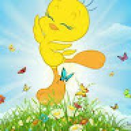 farzanadawood1@gmail