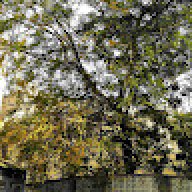 quamber