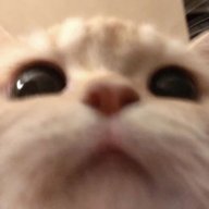 unknown_