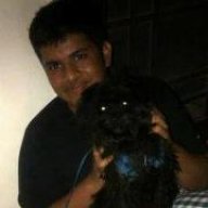 rockiiiiiii