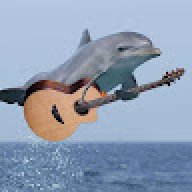 Doozy Dolphin
