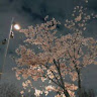 lliludorlo