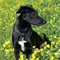 Lauraluana