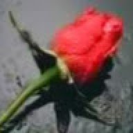 quratulain12