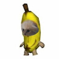 poopipppopp