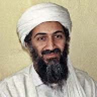 shayan gul