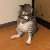 Zenden
