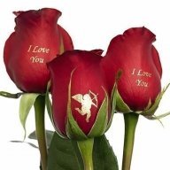 beautyrose