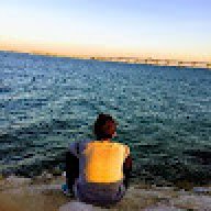 boodie.shalaby@gmail