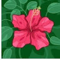 aahana_2901