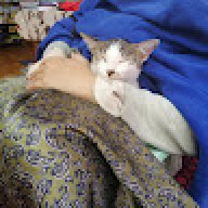 Jassie