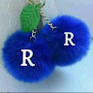 Rincy R