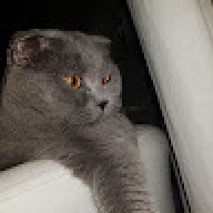 KevinnAbdulla1