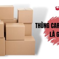 thungcartonlon