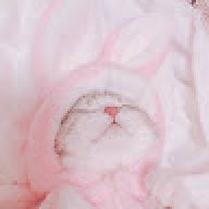 rgrrfdd