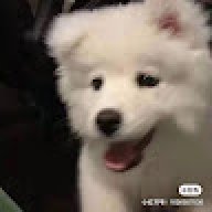 mroooo