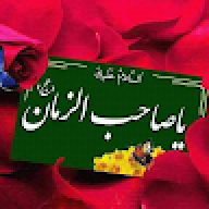 kabi_kazmi5