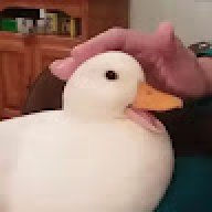 notfadii