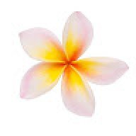 lg_0008