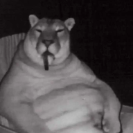 PEEEEE