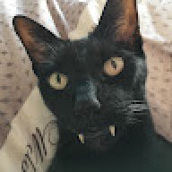 KekeBoi