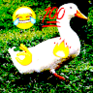 orgetgverxgv