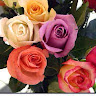 Syeda Kazmi