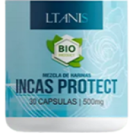 Incasprotectparaguay