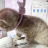 fatima_abdul_sattar0