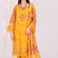 pakistanidresses