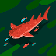 balgarinae