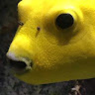anebiss