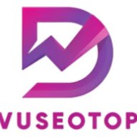 dichvuseotopv