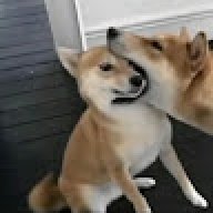 bamgbang