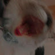 hfcghjnc