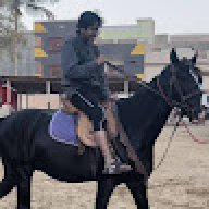 hassamshah