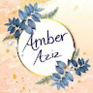 amber aziz